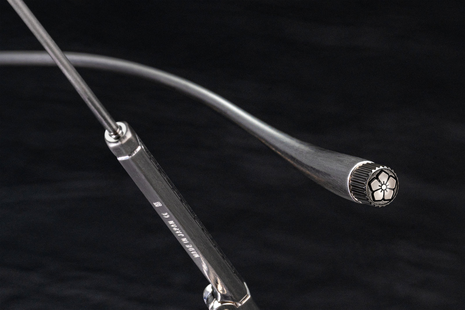 CLEMATIS_4_1600x.jpg?v=1758081847