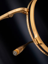 SCUTUM II